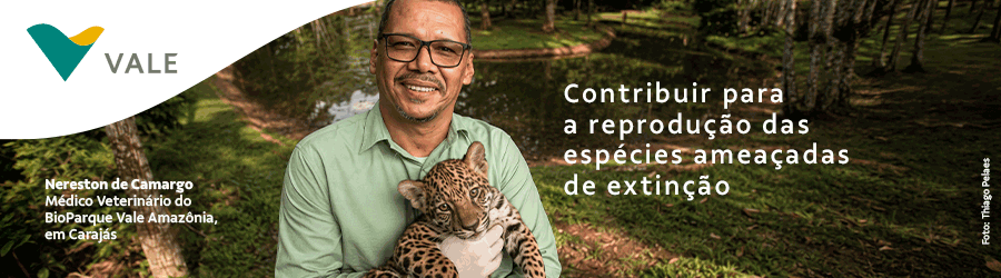 Vale - Conservação de florestas
